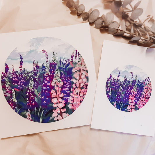 Nova Scotia Lupines