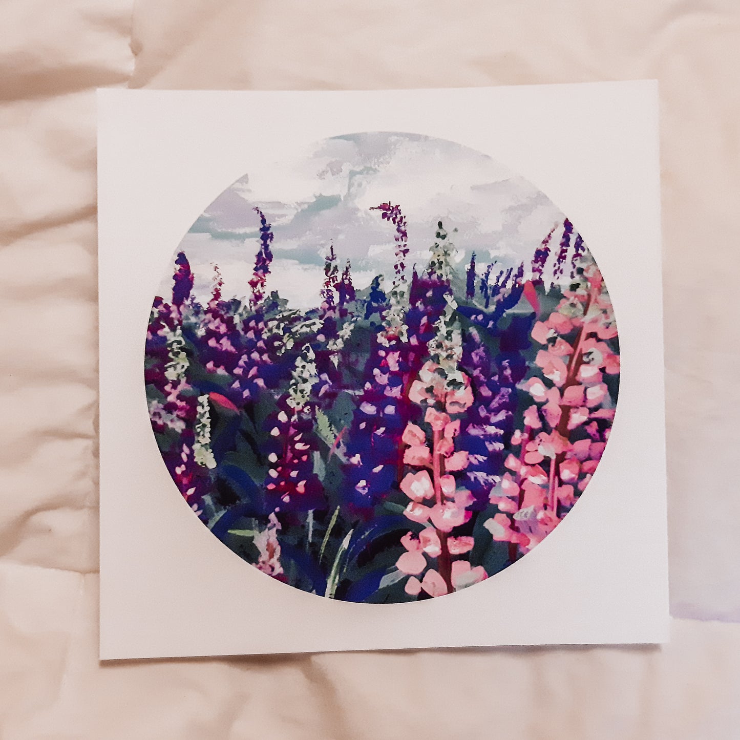 Nova Scotia Lupines