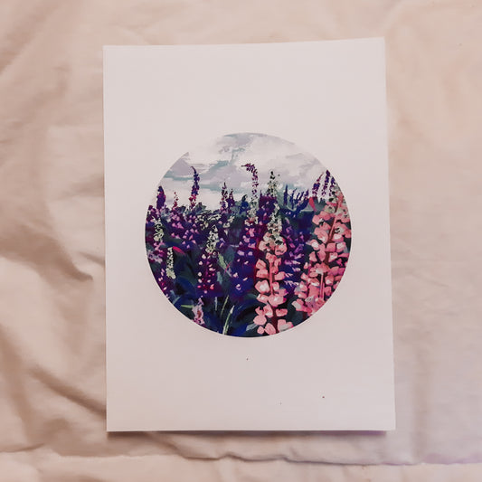 Nova Scotia Lupines